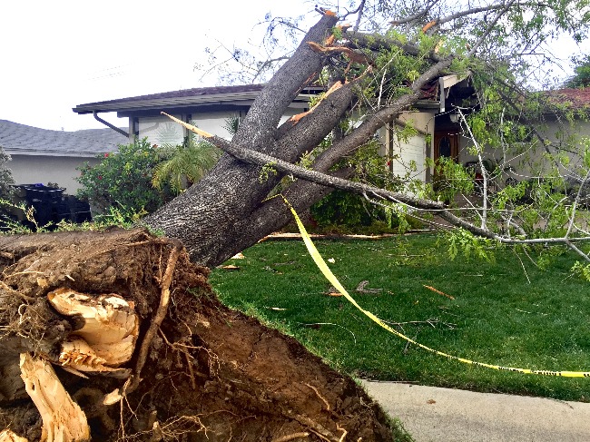Lawmakers Discuss Potential Disaster Prevention Recommendations 